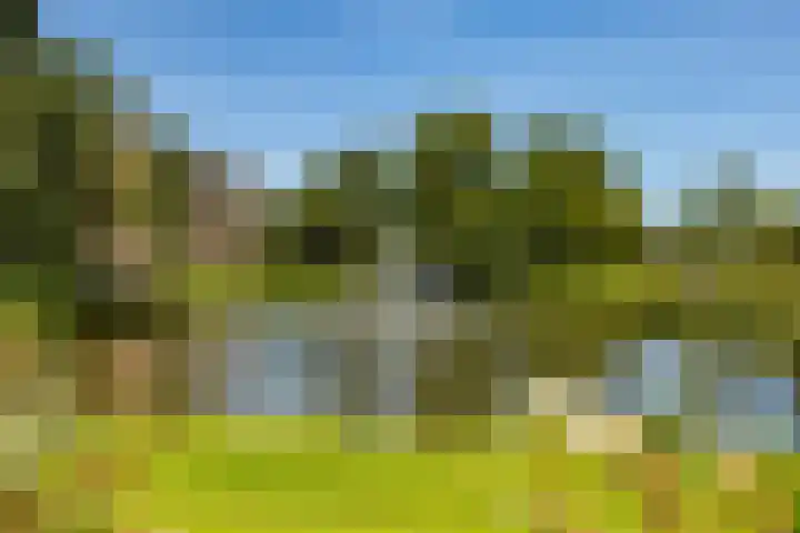 Plutolaan 70 Groningen thumbnail 7