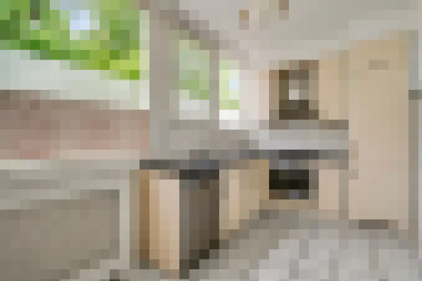 Plutolaan 97 Roermond thumbnail 9
