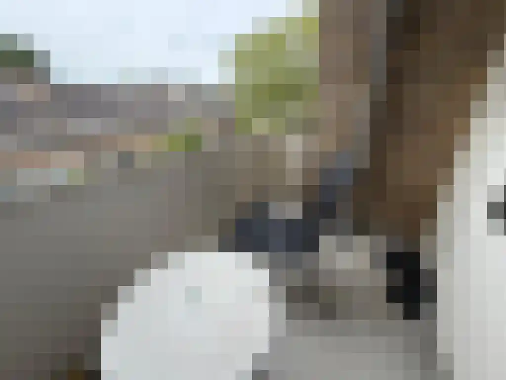 Plutolaan Groningen thumbnail 5