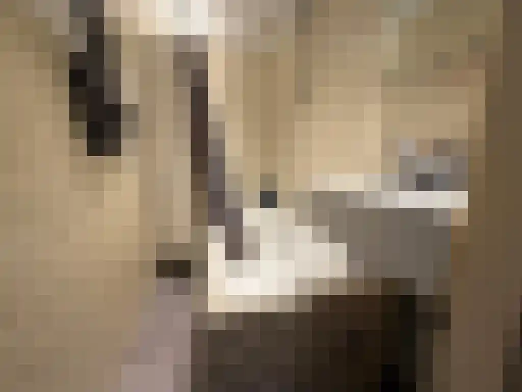 Plutolaan Groningen thumbnail 6
