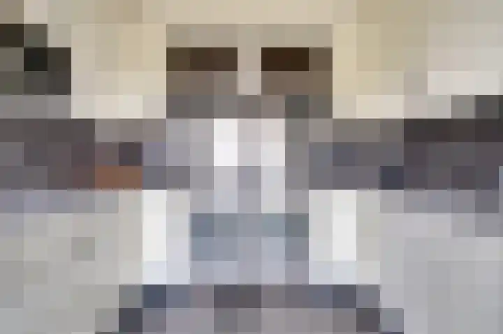 Plutopad 10 Spijkenisse thumbnail 12