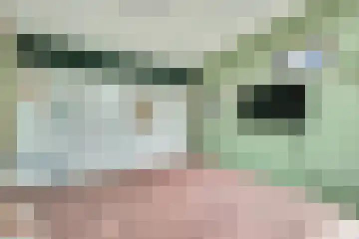 Plutopad 10 Spijkenisse thumbnail 17