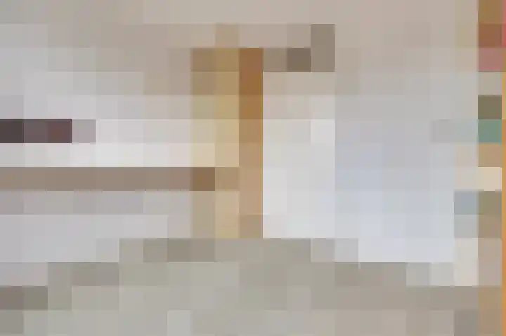 Plutopad 10 Spijkenisse thumbnail 19