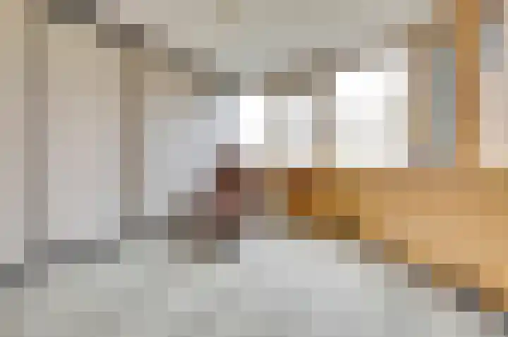 Plutopad 10 Spijkenisse thumbnail 20
