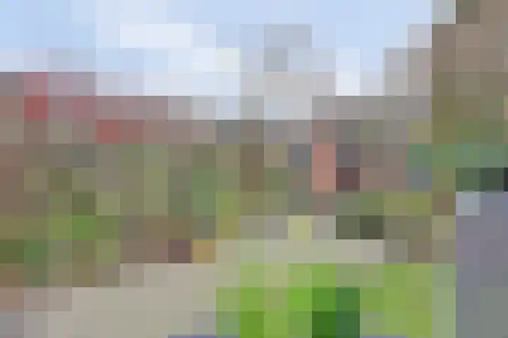 Plutopad 10 Spijkenisse thumbnail 32