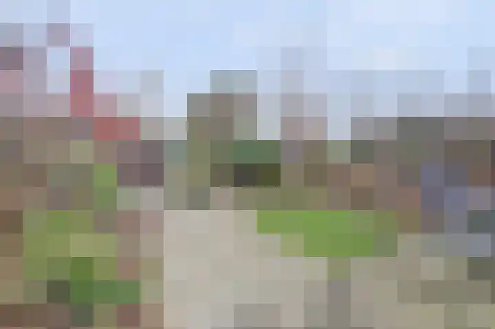 Plutopad 10 Spijkenisse thumbnail 33