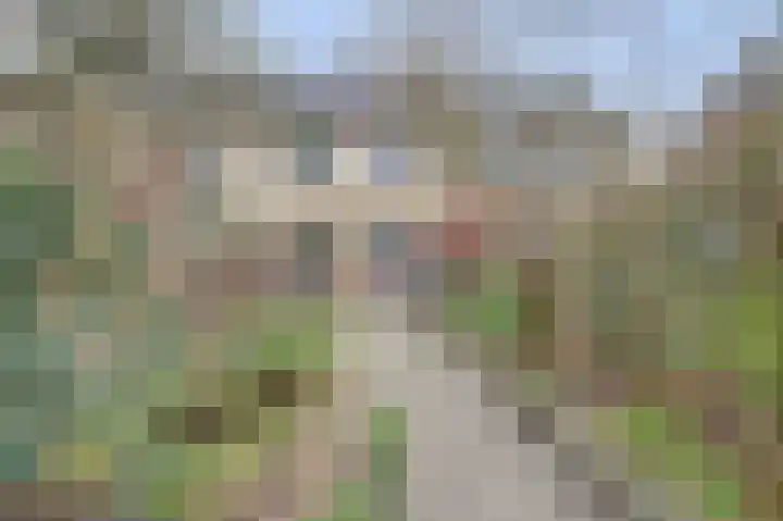 Plutopad 10 Spijkenisse thumbnail 34