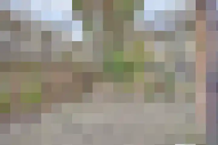 Plutopad 10 Spijkenisse thumbnail 35