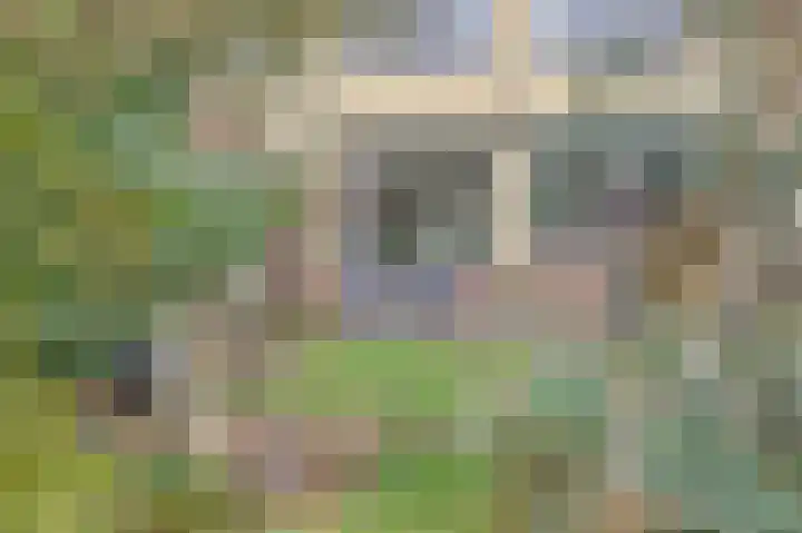 Plutopad 10 Spijkenisse thumbnail 36