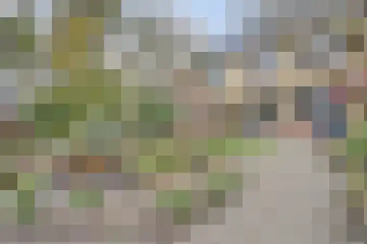 Plutopad 10 Spijkenisse thumbnail 37