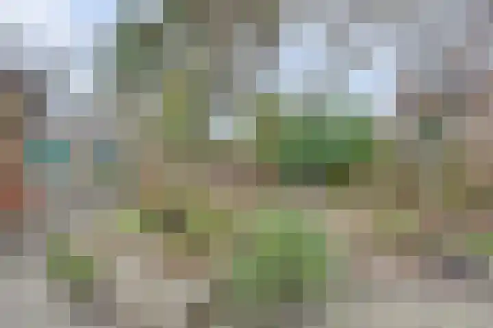 Plutopad 10 Spijkenisse thumbnail 38