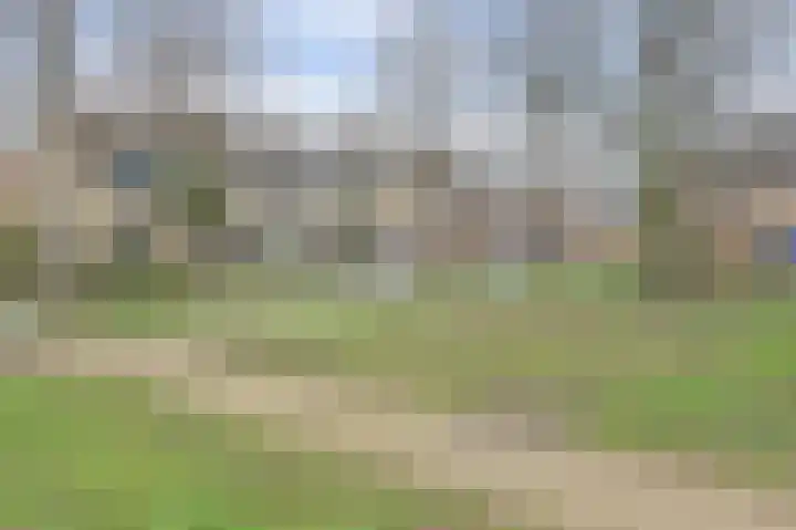 Plutopad 10 Spijkenisse thumbnail 39