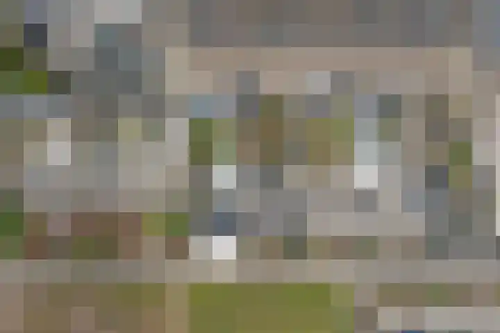 Plutopad 10 Spijkenisse thumbnail 40