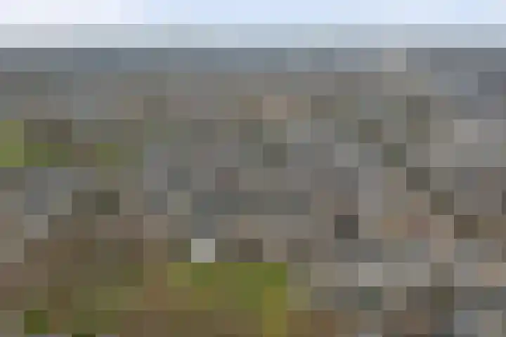 Plutopad 10 Spijkenisse thumbnail 41