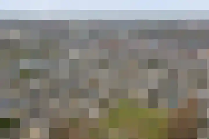Plutopad 10 Spijkenisse thumbnail 42