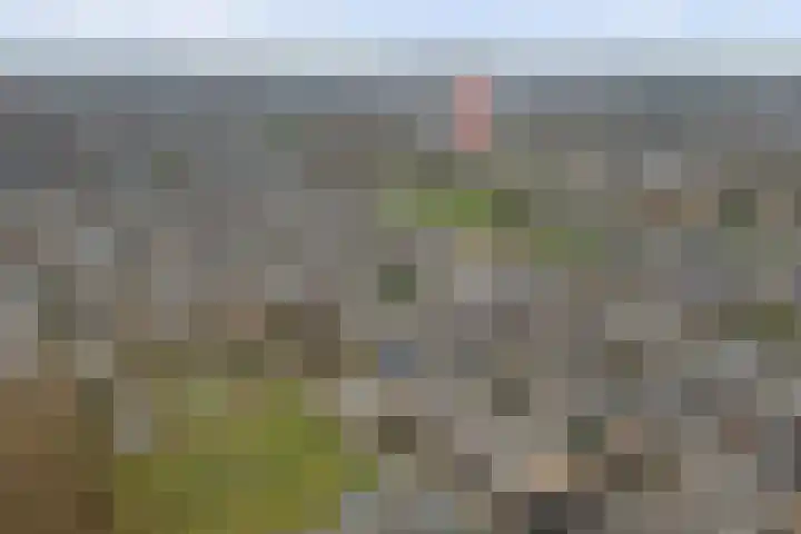 Plutopad 10 Spijkenisse thumbnail 43