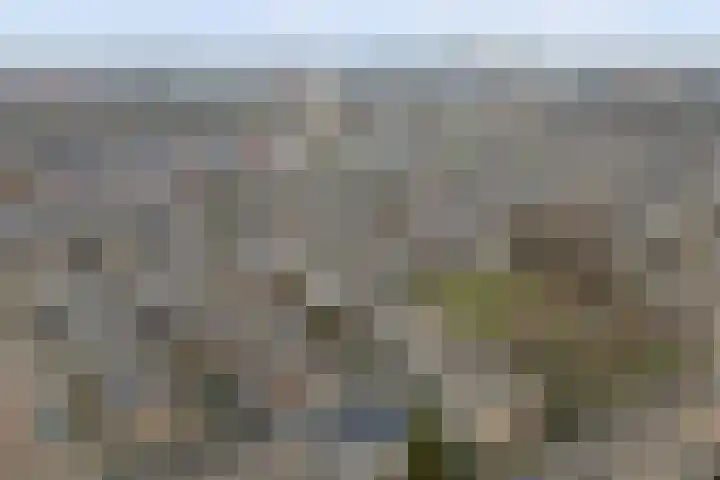 Plutopad 10 Spijkenisse thumbnail 46