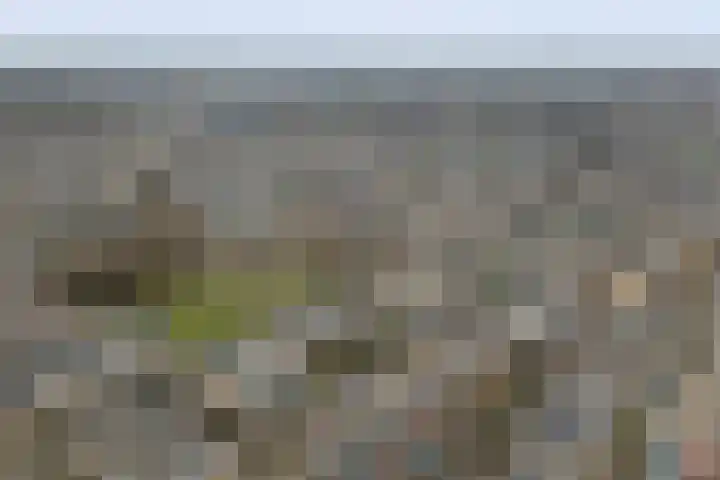 Plutopad 10 Spijkenisse thumbnail 47