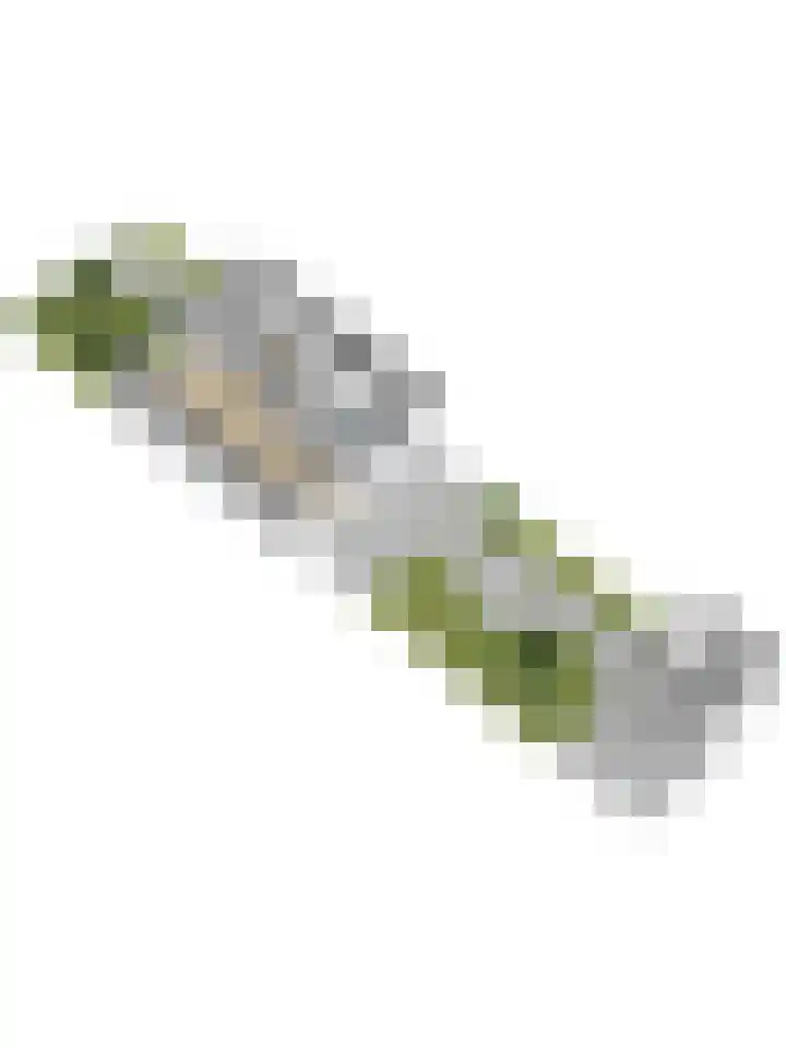 Plutopad 10 Spijkenisse thumbnail 54