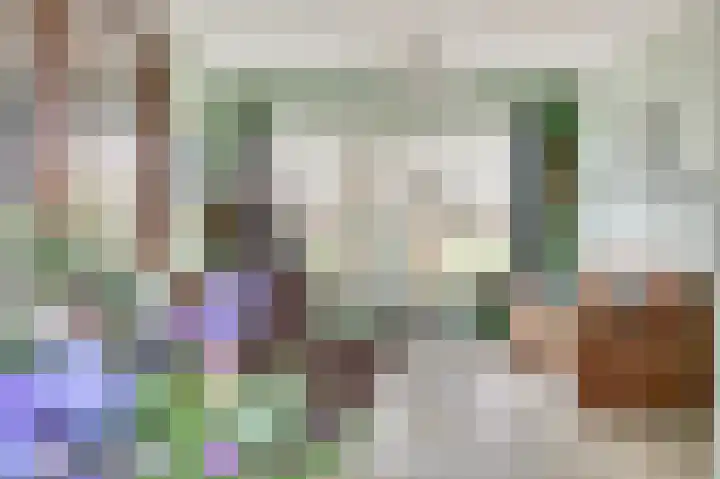 Plutopad 10 Spijkenisse thumbnail 6