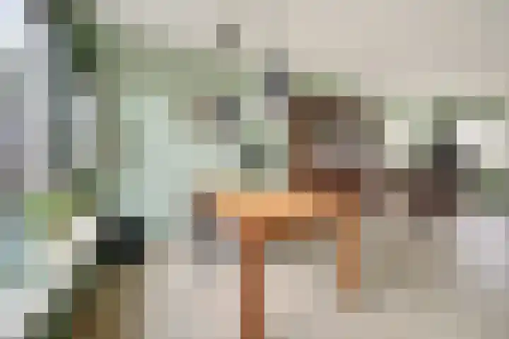 Plutopad 10 Spijkenisse thumbnail 9
