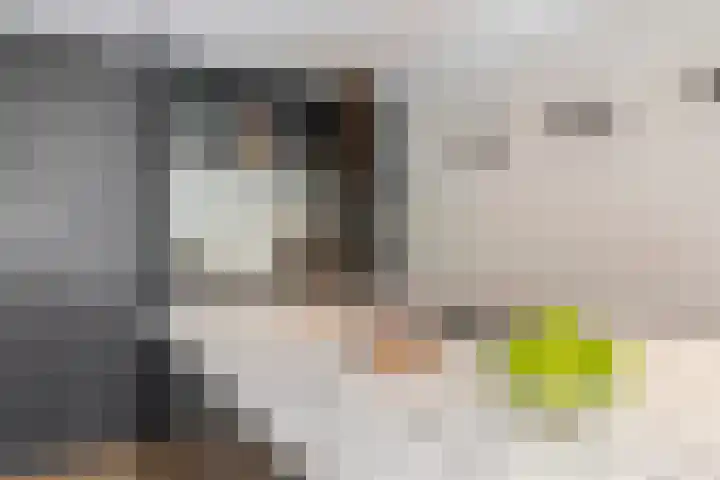 Plutostraat 12 Rotterdam thumbnail 19
