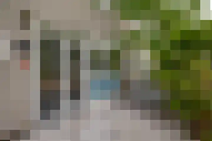 Plutostraat 12 Rotterdam thumbnail 6