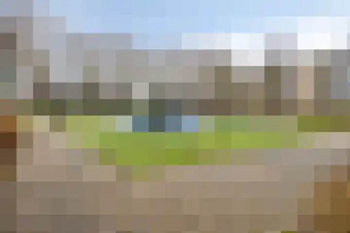 Plutostraat 152 Alphen aan den Rijn thumbnail 34