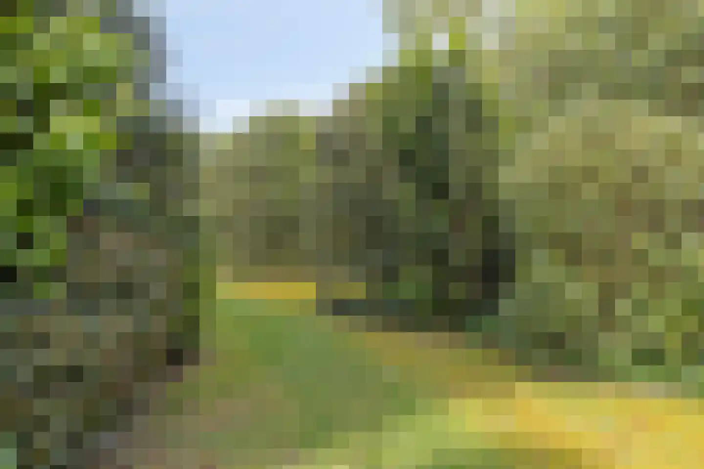 Plutostraat 16 Son en Breugel thumbnail 4
