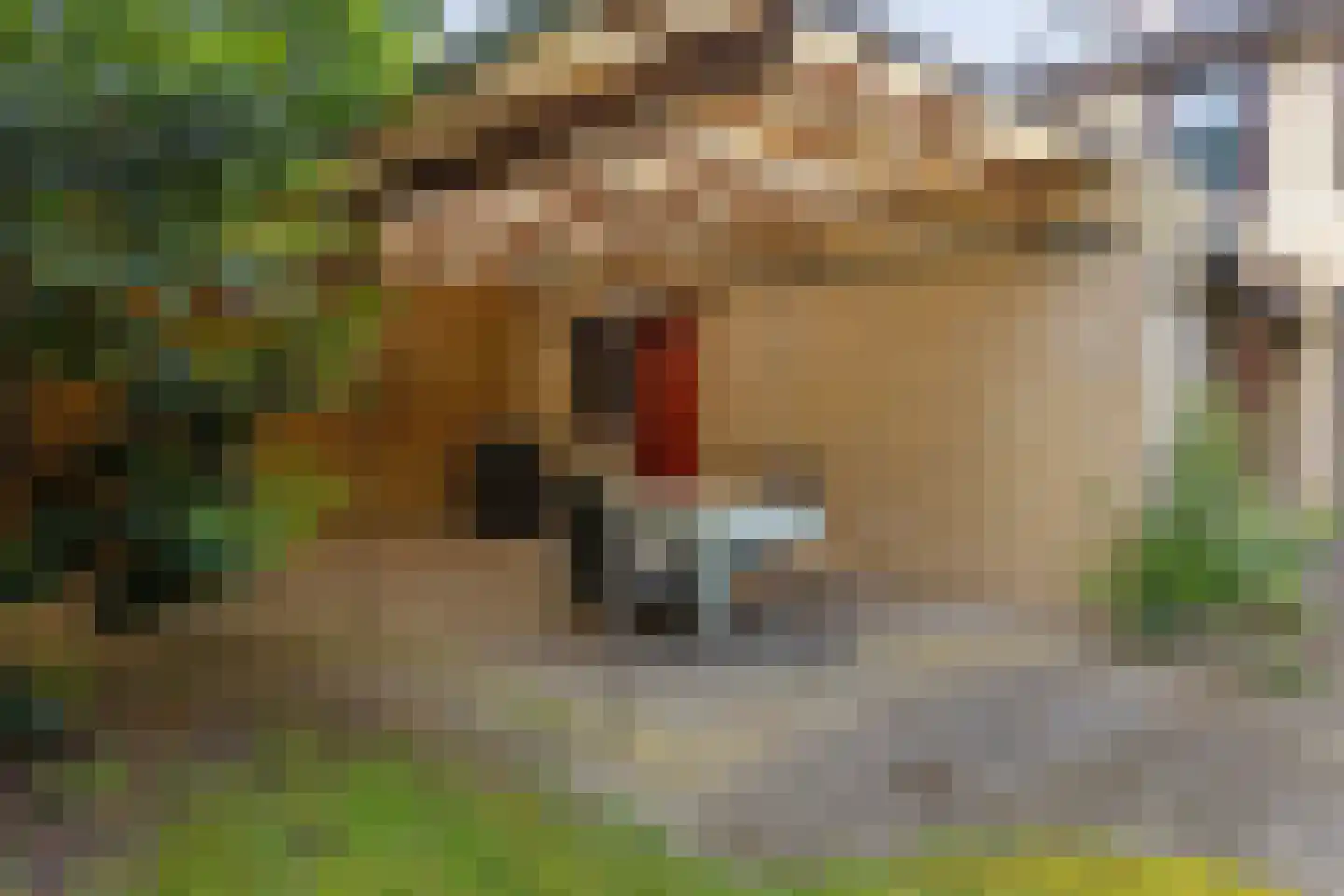 Plutostraat 16 Son en Breugel thumbnail 43