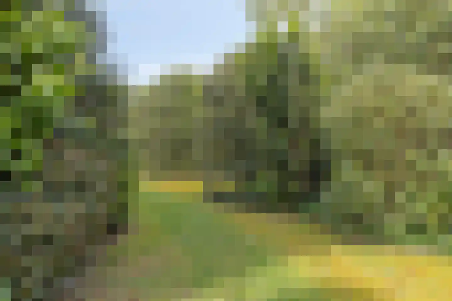 Plutostraat 16 Son en Breugel thumbnail 44
