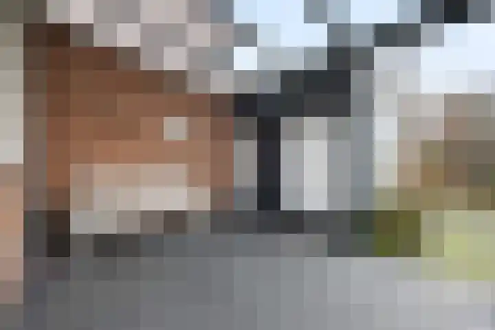 Plutostraat 17 Nijmegen thumbnail 23