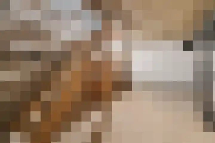 Plutostraat 17 Nijmegen thumbnail 27