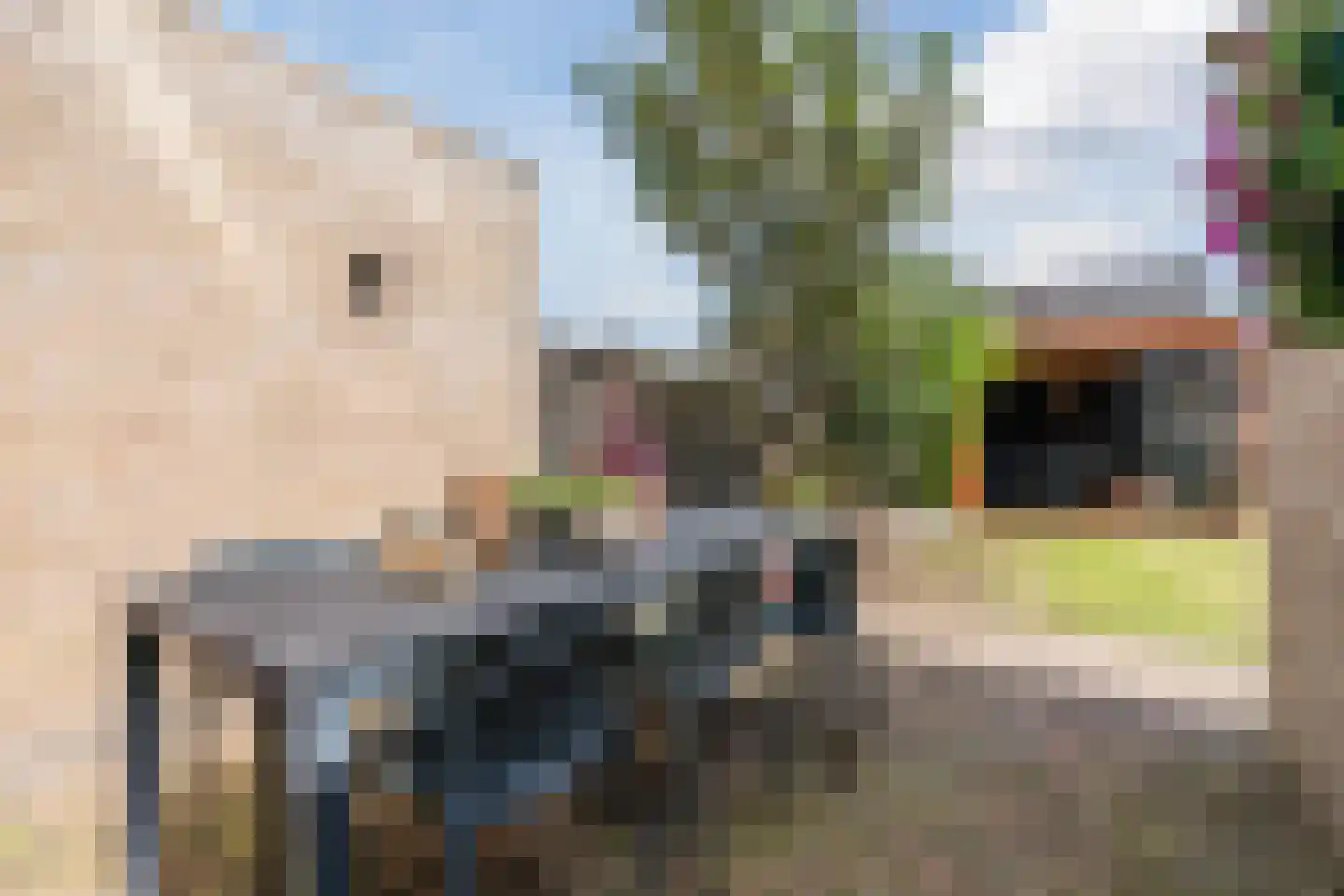 Plutostraat 19 Assen thumbnail 39