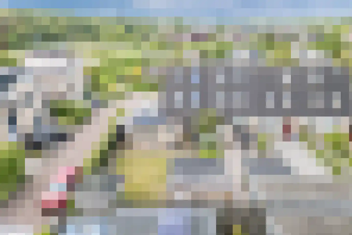 Plutostraat 19 Assen thumbnail 48
