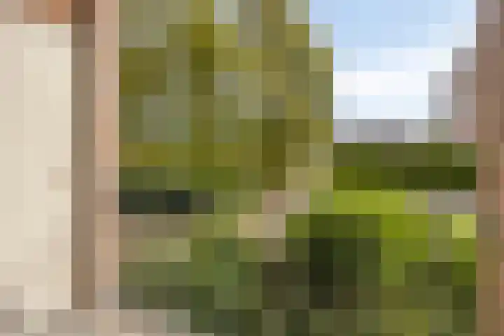 Plutostraat 2 A Nijmegen thumbnail 18