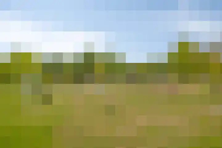 Plutostraat 2 A Nijmegen thumbnail 24