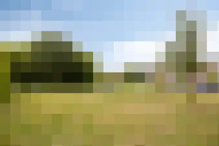 Plutostraat 2 A Nijmegen thumbnail 25