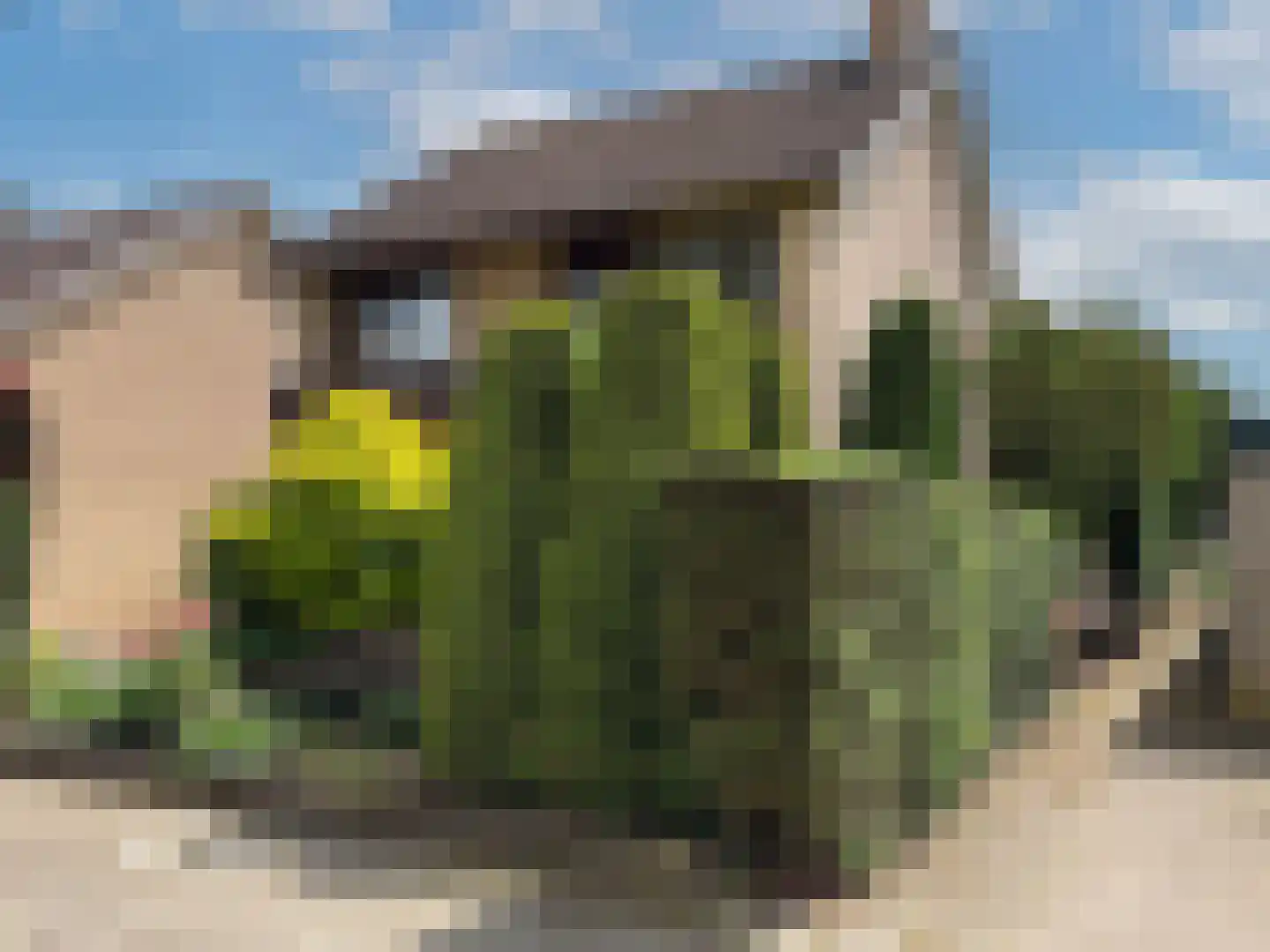 Plutostraat 2 Son en Breugel thumbnail 39