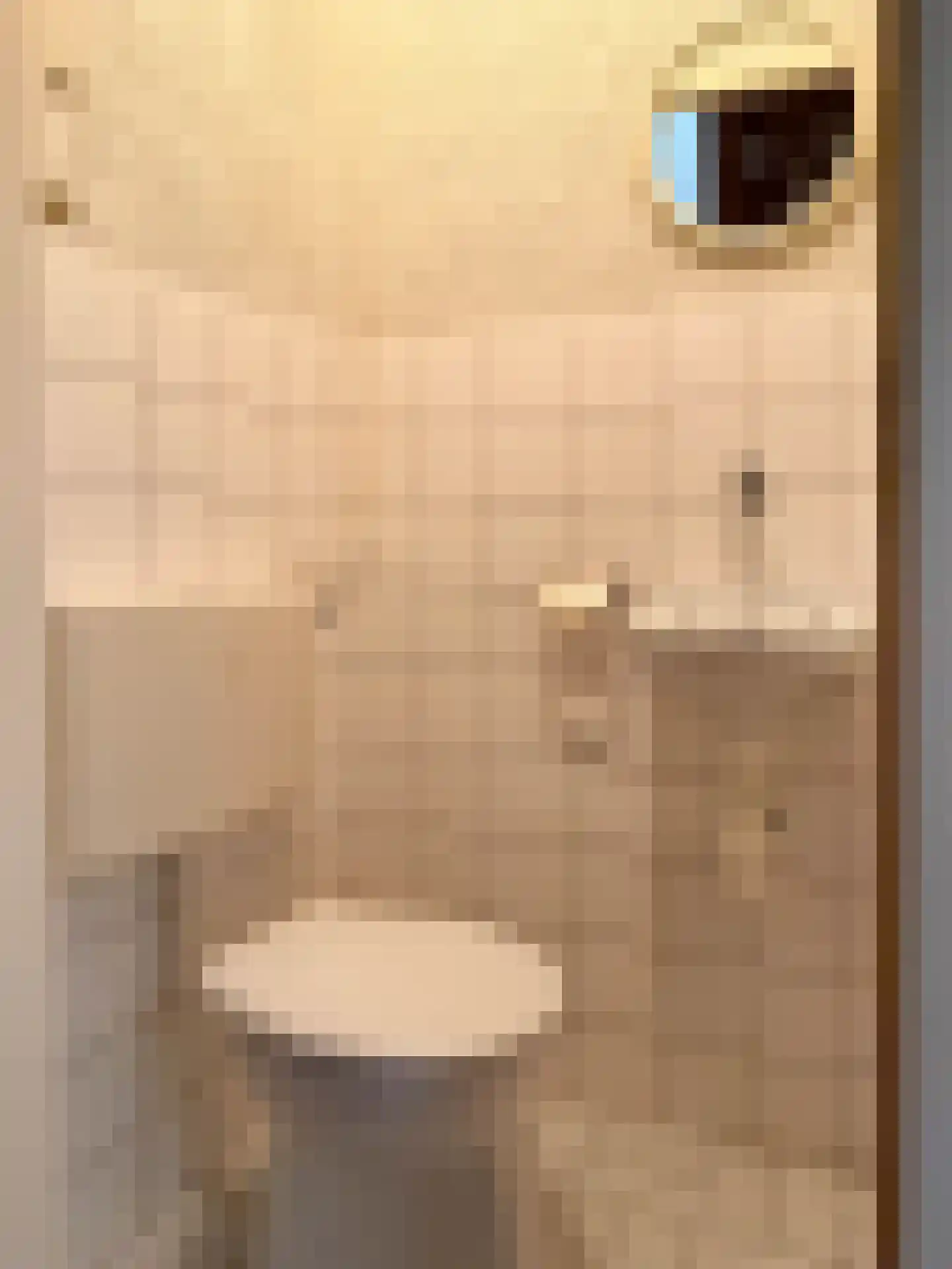 Plutostraat 2 Son en Breugel thumbnail 7