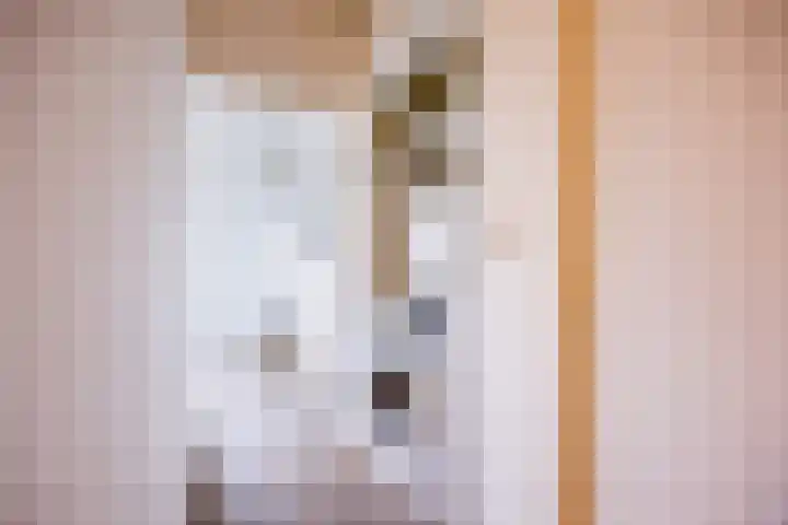 Plutostraat 20 Nijmegen thumbnail 17