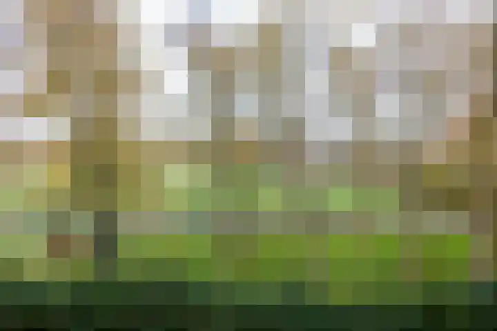 Plutostraat 20 Nijmegen thumbnail 21