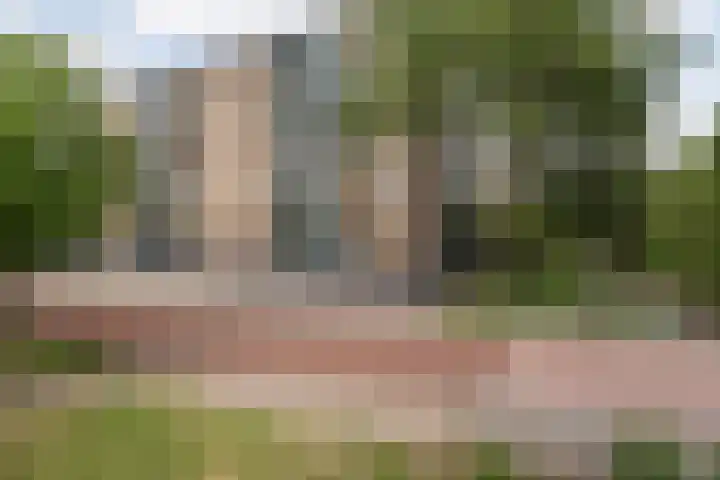 Plutostraat 252 Alphen aan den Rijn thumbnail 4