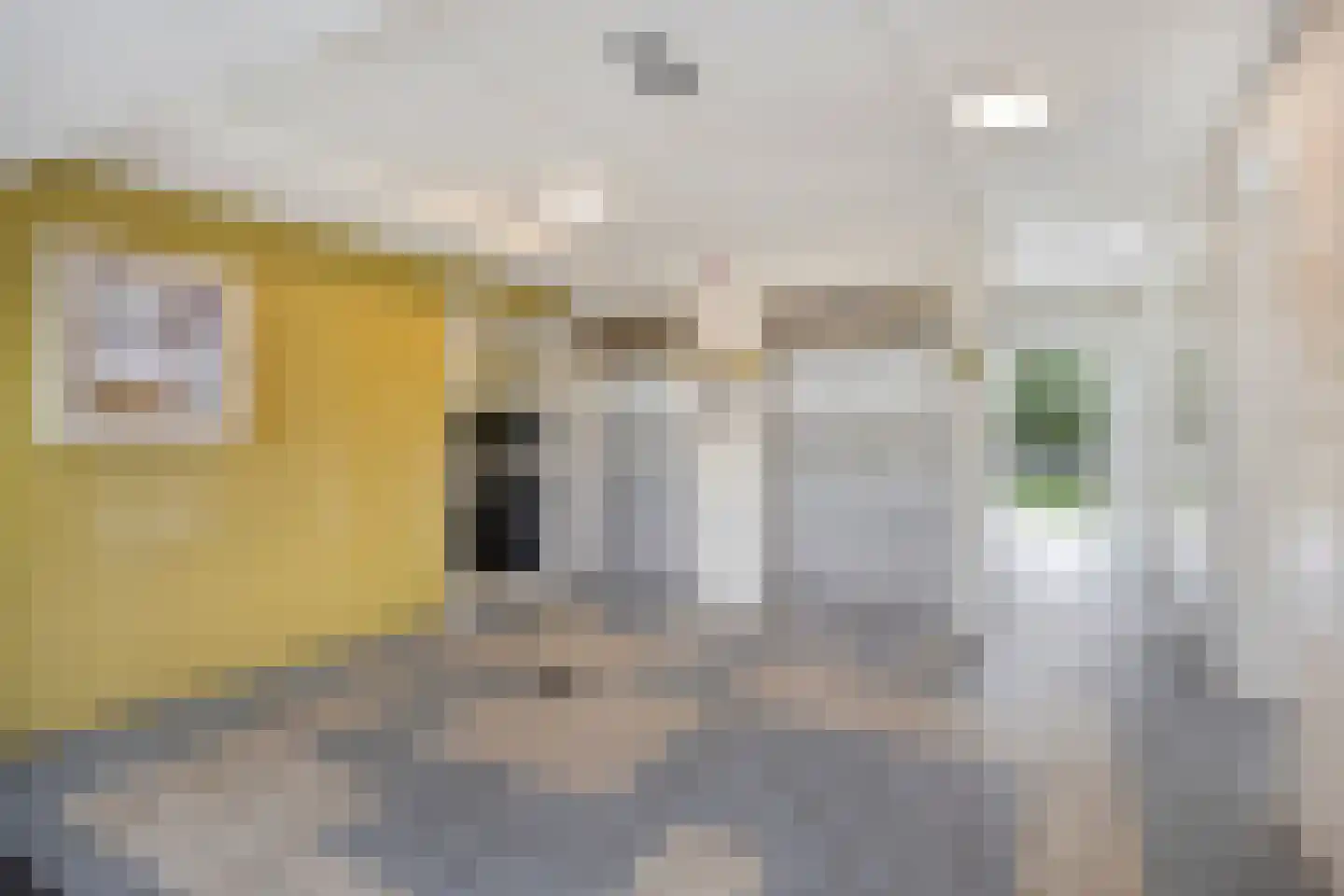 Plutostraat 260 Alphen aan den Rijn thumbnail 31