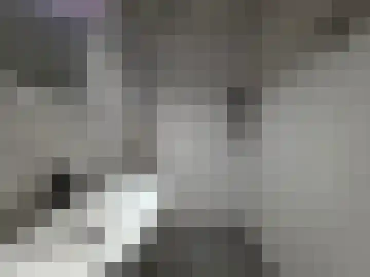 Plutostraat 292 Alphen aan den Rijn thumbnail 5