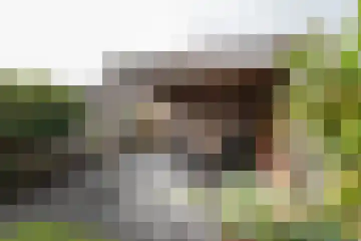 Plutostraat 31 Assen thumbnail 34