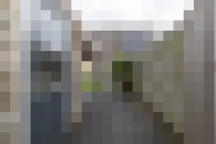 Plutostraat 31 Assen thumbnail 36
