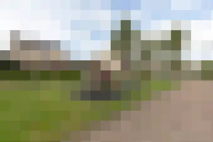 Plutostraat 31 Assen thumbnail 4