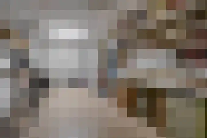 Plutostraat 33 Krommenie thumbnail 11