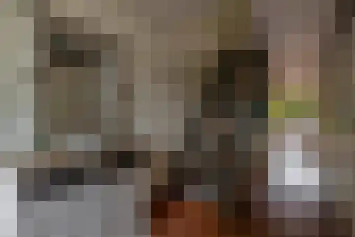 Plutostraat 33 Krommenie thumbnail 12